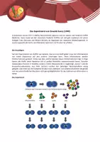 Vorschau - Interaktives Material - EduCrime - Die Struktur der DNA - Seite 2
