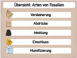 Vorschau - Arbeitsblätter - Interaktive Wissenskartei Fossilien - Seite 1