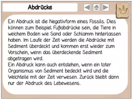 Vorschau - Arbeitsblätter - Interaktive Wissenskartei Fossilien - Seite 3