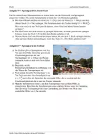 Vorschau - Arbeitsblätter - Lageenergie, Bewegungsenergie und Spannenergie - Übungsaufgaben mit Lösungen - Seite 2