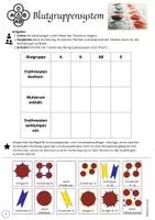 Vorschau - Arbeitsblätter - Abschluss Blutgruppensystem. Übersichtstabelle + Quiz, Arbeitsblatt, differenziert, Abbildung - Seite 1