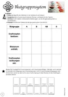 Vorschau - Arbeitsblätter - Abschluss Blutgruppensystem. Übersichtstabelle + Quiz, Arbeitsblatt, differenziert, Abbildung - Seite 3