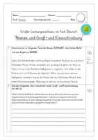 Vorschau - Test - Nomen und Groß-und Kleinschreibung PROBE/Leistungsnachweis (inklusive Lösung) - Seite 1