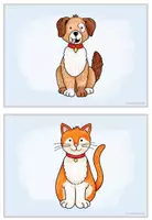 Vorschau - Bildkarten - Flashcards - Pets - Seite 3