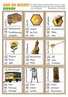 Vorschau - Stationenlernen - Bienen / Imkerei Ratespiel Sag es nicht! Sachunterricht - Seite 3