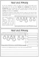 Vorschau - Arbeitsblätter - AMPHIBIEN - Lerntheke - Seite 3