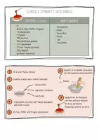 Vorschau - Arbeitsblätter - Rezeptkarten - Seite 1