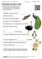 Vorschau - Arbeitsblätter - Lernposter + Arbeitsblatt "Vögel" + Onlineübung & MP3 + Mindmap + Infografik - Seite 1