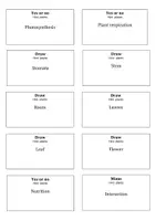 Vista previa - Juegos / Gamificación - Juego de repaso - Plants - Portada