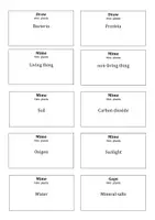 Vista previa - Juegos / Gamificación - Juego de repaso - Plants - página 2