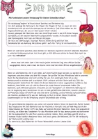 Vorschau - Arbeitsblätter - Gesunde Ernährung: Der Darm / Darm-Hirn-Achse / Probiotika / Präbiotika Merktext - Seite 1