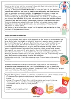 Vorschau - Arbeitsblätter - Gesunde Ernährung: Der Darm / Darm-Hirn-Achse / Probiotika / Präbiotika Merktext - Seite 2