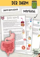 Vorschau - Arbeitsblätter - Gesunde Ernährung: Der Darm / Darm-Hirn-Achse / Probiotika / Präbiotika Merktext - Deckblatt