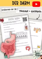Vorschau - Arbeitsblätter - Gesunde Ernährung: Der Darm / Darm-Hirn-Achse - Youtube-Video + Aufgaben - Deckblatt