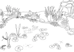 Vorschau - Bildkarten - Bild Weiher/See - Seite 1