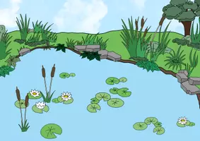 Vorschau - Bildkarten - Bild Weiher/See - Seite 3