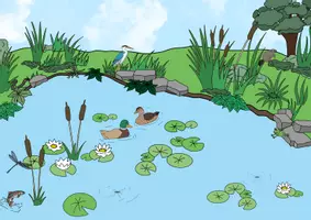 Vorschau - Bildkarten - Bild Weiher/See - Deckblatt