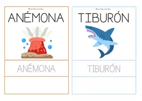 Vista previa - Tarjetas / Manipulativos - Tarjetas lectoescritura (mayúsculas) - página 3