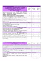 Vista previa - Para docentes: organización, planificación y formación - RESUM ÀREA PLÀSTICA ANNEX III DEL D106/2022 - página 2
