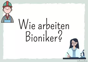 Vorschau - Stundenentwürfe - Bionik Reihentransparenz Unterrichtsbesuch - Seite 3