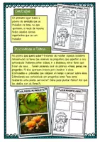 Vista previa - Unidades / Secuencias / Situaciones de Aprendizaje - Las plantas / As plantas / Galllego - página 2