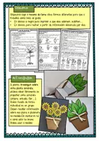 Vista previa - Unidades / Secuencias / Situaciones de Aprendizaje - Las plantas / As plantas / Galllego - página 3