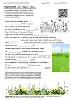 Vorschau - Arbeitsblätter - Lernposter + Arbeitsblatt "Wiese" + Onlineübung & MP3 + Mindmap + Infografik - Seite 1