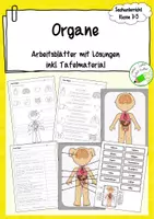 Vorschau - Arbeitsblätter - Organe - Arbeitsblätter zum Wiederholen und Festigen - inkl. Tafelmaterial - Deckblatt