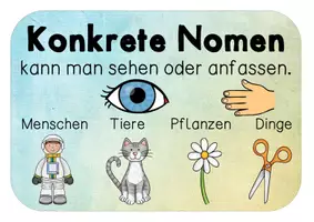 Vorschau - Poster - Tafelmaterial - Wir werden Experten für Nomen - Seite 3