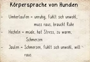 Vorschau - Arbeitsblätter - Körpersprache des Hundes - Seite 1