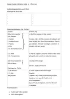 Vorschau - Arbeitsblätter - Lehrküche Hähnchen Sahne Nudeln Schülerrezept - Seite 1