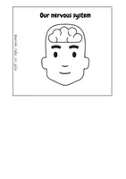 Vista previa - Juegos / Gamificación - Pack science 'The nervous system' - página 1