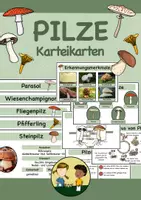 Vorschau - Stationenlernen - Pilze Karteikarten/ Informationskarten - Deckblatt