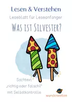 Vorschau - Arbeitsblätter - Winter - Silvester - Sachtext - Leseverständnis - Leseverstehen - "richtig oder falsch" - Leseblatt mit Selbstkontrolle - Deckblatt
