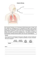 Vorschau - Arbeitsblätter - Protokoll Puls und Atmung - Deckblatt
