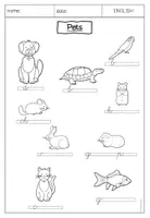 Vorschau - Arbeitsblätter - ENGLISH Pets Arbeitsblätter Interview class survey Sicherung - Seite 3