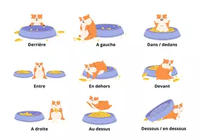 Aperçu - Préparation de séance / Séance complète - Vocabulaire - situer un objet - Page 2