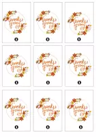 Aperçu - Jeux - Anglais - I have - Who has - THANKSGIVING - Page 3