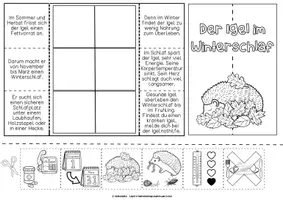 Vorschau - Arbeitsblätter - Der Igel im Winterschlaf | Flipbook | Sachunterricht - Seite 2