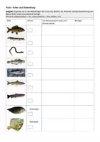 Vorschau - Arbeitsblätter - Fisch - Arten und Zubereitung Arbeitsblatt - Seite 1