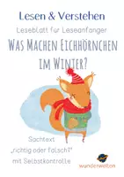 Vorschau - Arbeitsblätter - Winter - Eichhörnchen im Winter - Sachtext - "richtig oder falsch" - Leseblatt mit Selbstkontrolle - Deckblatt
