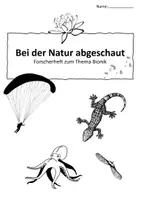 Vorschau - Arbeitsblätter - Bionik - Eisbär - Wärmedämmung - Seite 1
