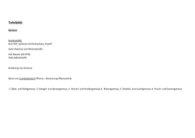 Vorschau - Stundenentwürfe - Unterrichtsplanung Gemüse + Vitamine - Seite 2