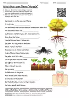 Vorschau - Arbeitsblätter - Arbeitsblatt "Wurzeln" + Onlineübung & MP3 + Infografik - Deckblatt