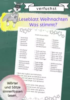 Vorschau - Arbeitsblätter - Leseblatt Weihnachten - Was stimmt? - Deckblatt
