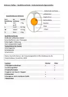 Vorschau - Arbeitsblätter - Hühnerei Arbeitsblatt - Aufbau Eigenschaften Eierspeisen - Seite 3