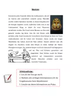 Vorschau - Arbeitsblätter - Gruppenarbeit "Altes Ägypten" Jg. 5+6 inkl. Lösungen - Seite 2