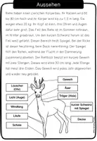 Vorschau - Arbeitsblätter - Reh - Forschungsheft - Seite 3