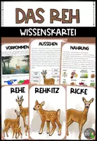 Vorschau - Poster - Wissenskartei zum Reh - Deckblatt