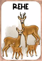 Vorschau - Poster - Wissenskartei zum Reh - Seite 1